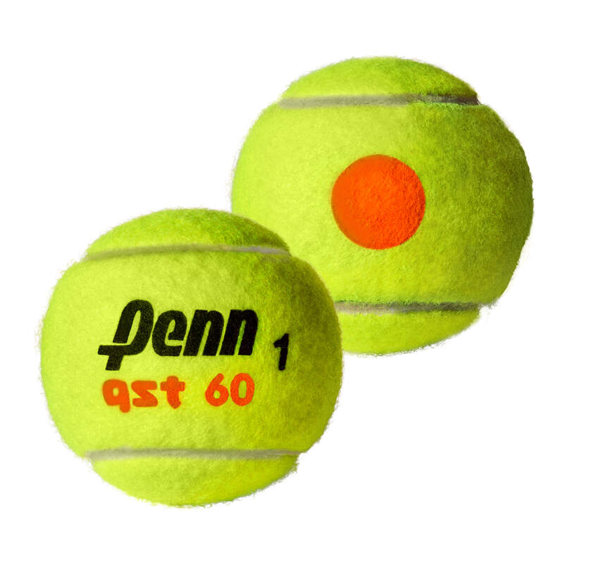 Penn QST 60 Orange Dot Stage 2 Tennis Ball