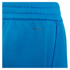 adidas Boys Classics Shorts