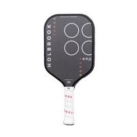 Holbrook Metallic Aero T Pickleball Paddle